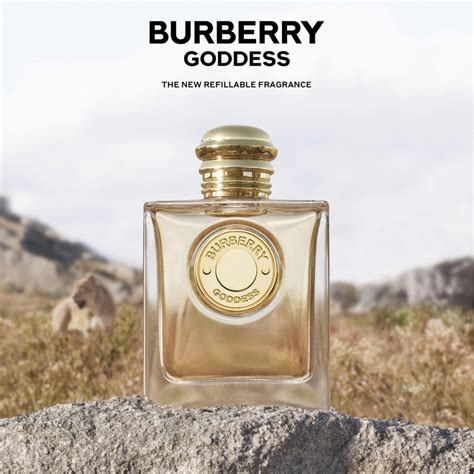 burberry goddess vs gold